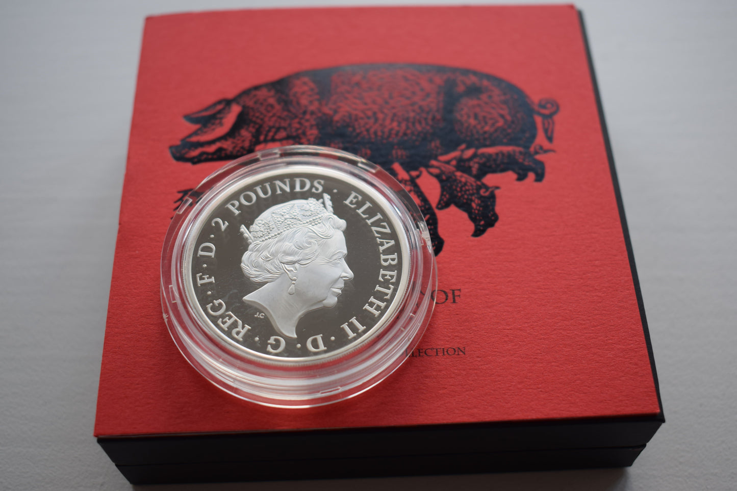 2019 RM Lunar Year of the Pig 2 Pounds 1 Oz Silver Proof Coin