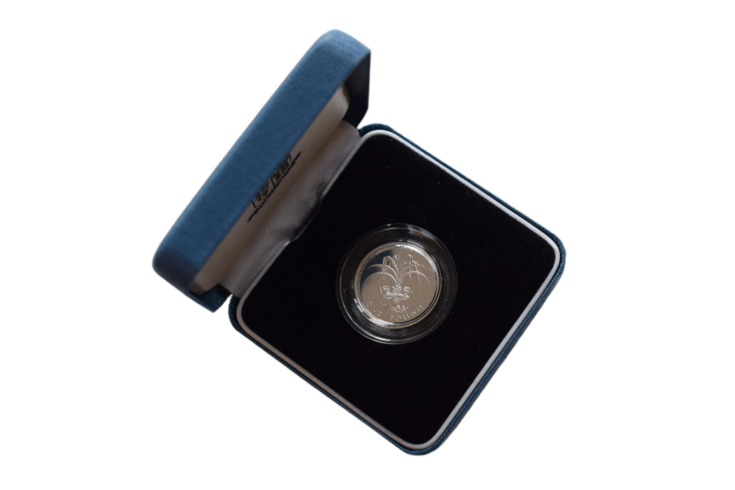 1990 Welsh Leek Silver Proof £1 Coin