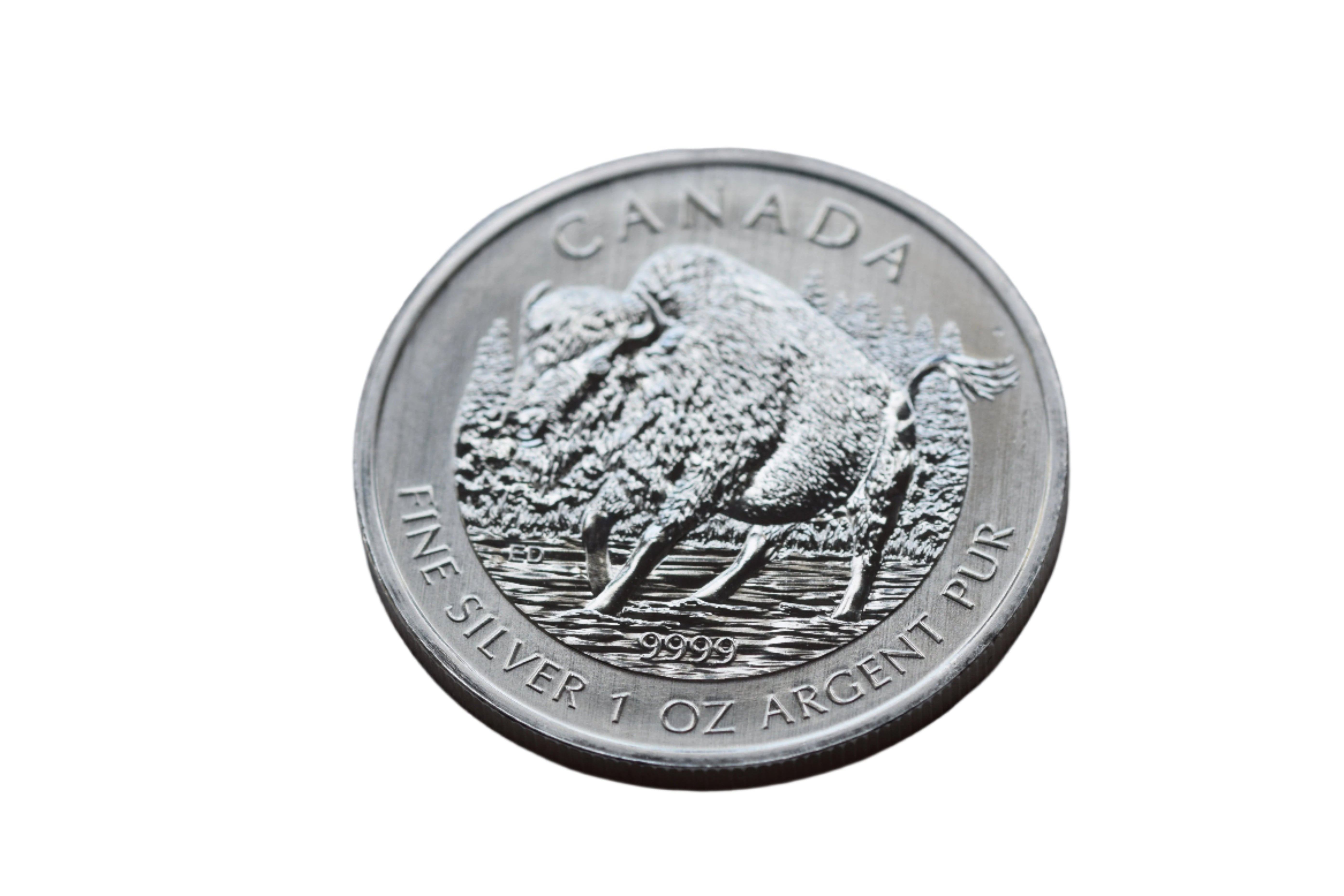 2740C カナダ 2013年 5ドル 銀貨 1オンス 2013 Canada $5 Bison- 1 oz 9999 Silver Coin – The Berkshire